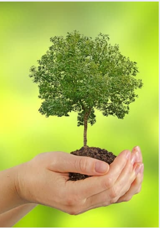 Longevity, Health & Wellness Series